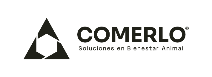 LOGOS - WEBSITE-39